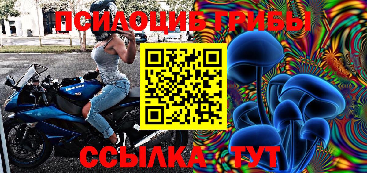 Галлюциногенные грибы GOLDEN TEACHER Тара